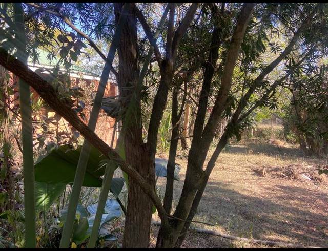 3 BEDROOM HOUSE FOR SALE IN SCOTTSVILLE